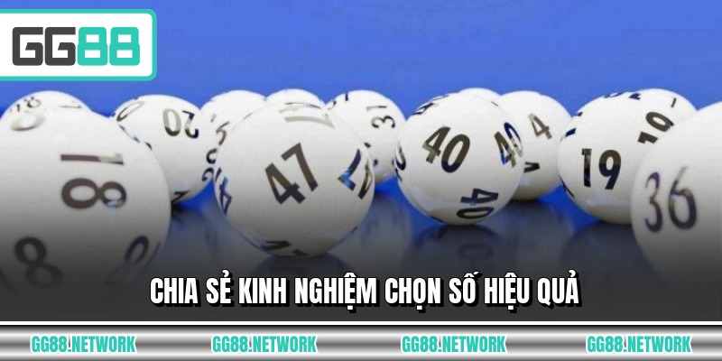 Chia sẻ kinh nghiệm chọn số hiệu quả
